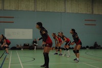 a group of girls playing volleyball in a gym